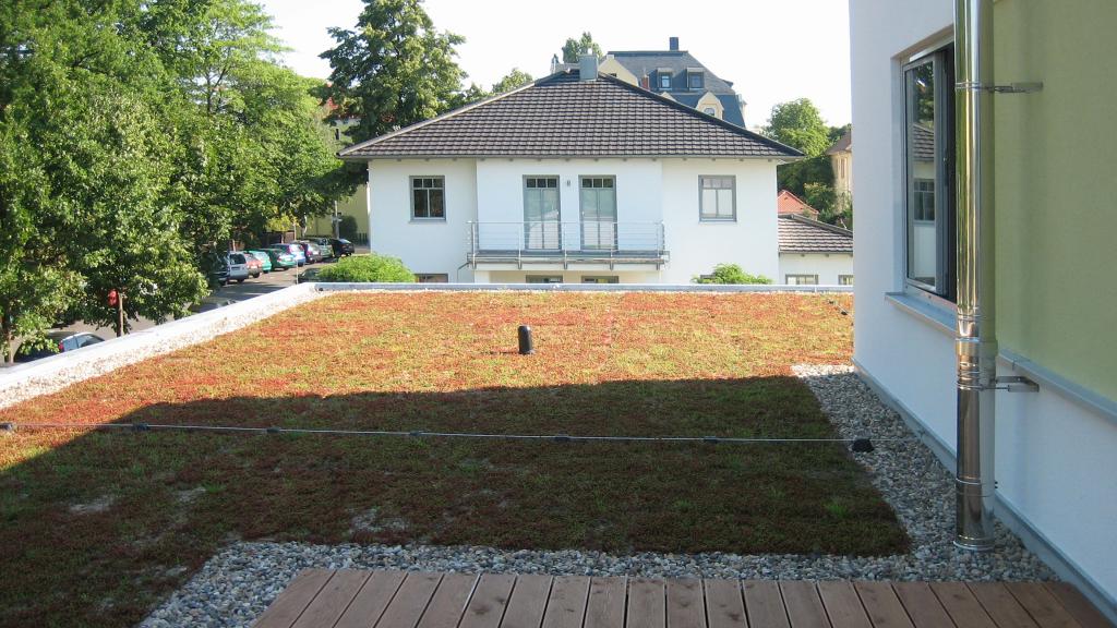 Toiture-terrasse verte du centre de dialyse modulaire de Riesa